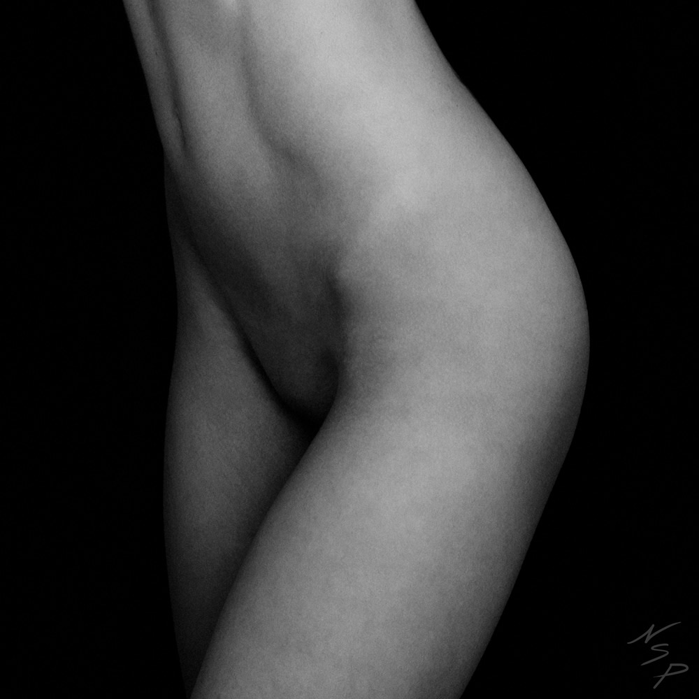 Fine Art Implied Nude Female Bodyscape in Black & White | MakersPlace