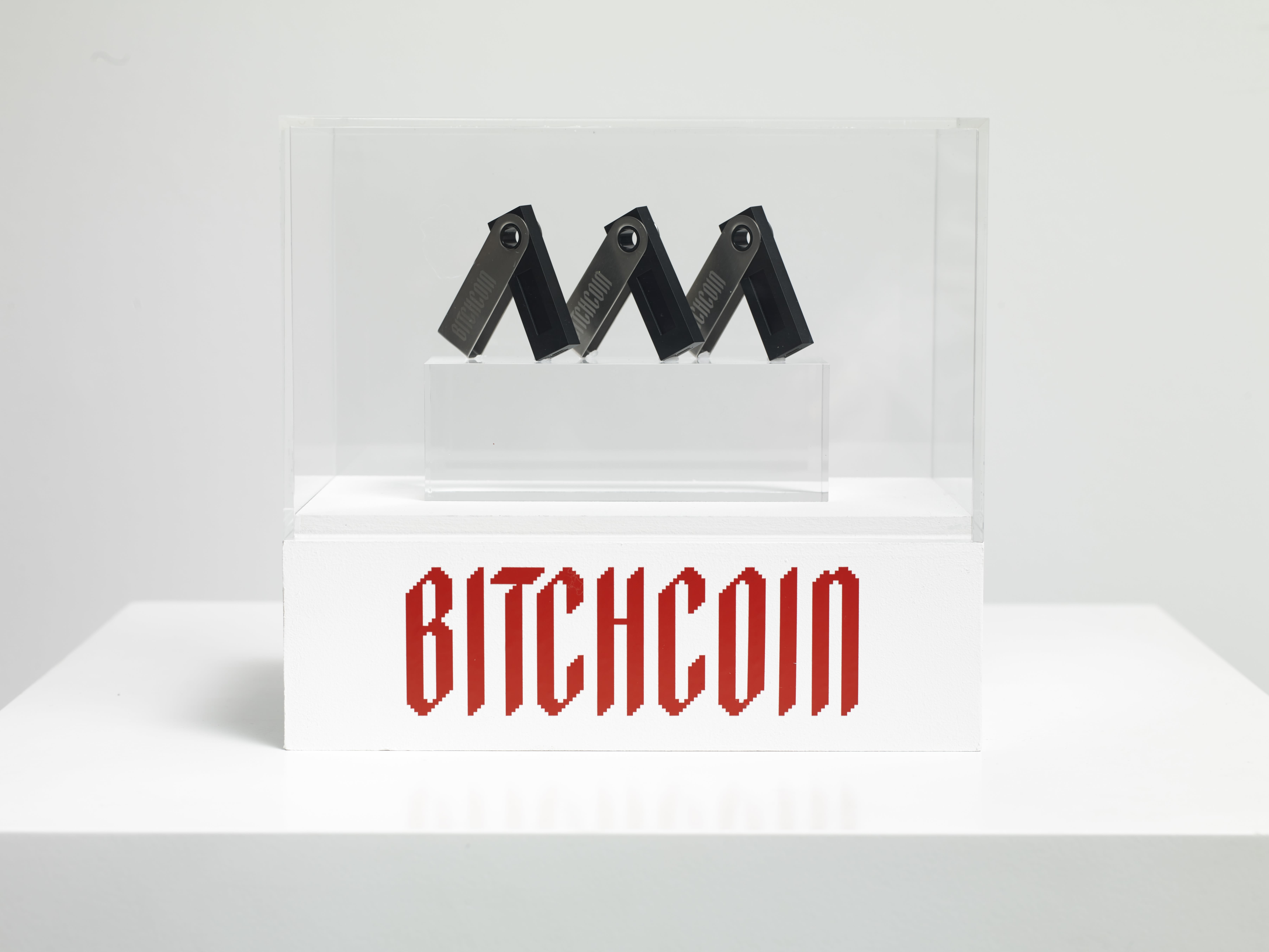 Bitchcoin-etched Ledger wallet